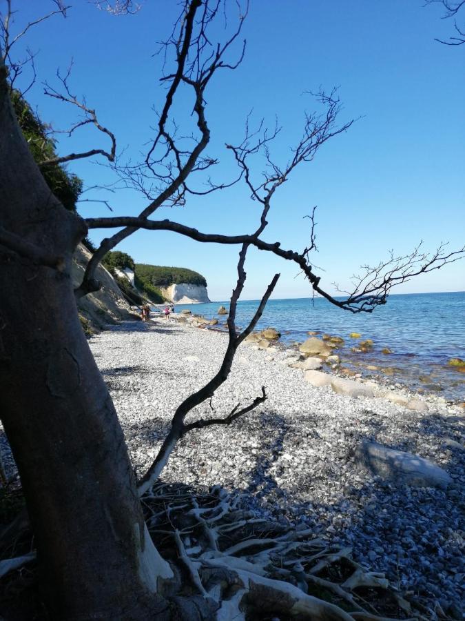 Ferienwohnung "Kranich" Im Ferien-Resort Ruegen Sagard Bagian luar foto